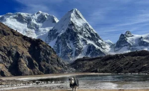 Kanchenjunga North Base Camp Trek – 20 Days of Adventure