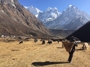 Arun Valley Trek – 15 Days Adventure